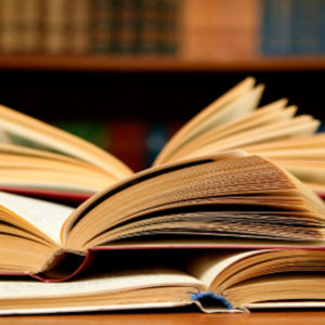 Bibliographie - Remerciements