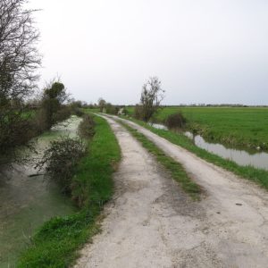 Les circuits de randonnées pédestres