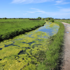 Les circuits de randonnées à vélo